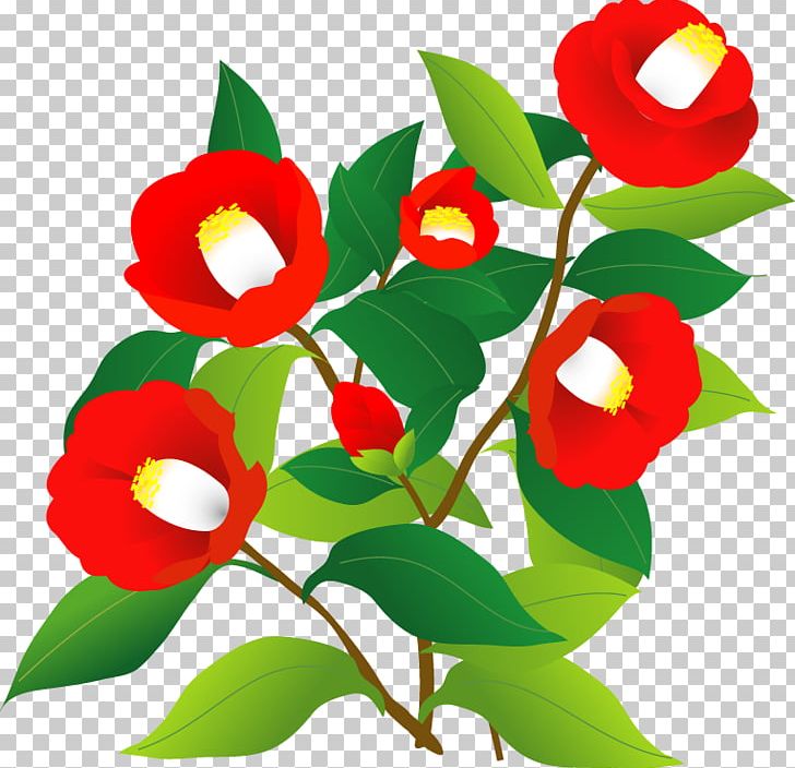 Japanese Camellia Illustration New Year Card Photography PNG, Clipart, Branch, Cut Flowers, Flower, Flowering Plant, January Free PNG Download