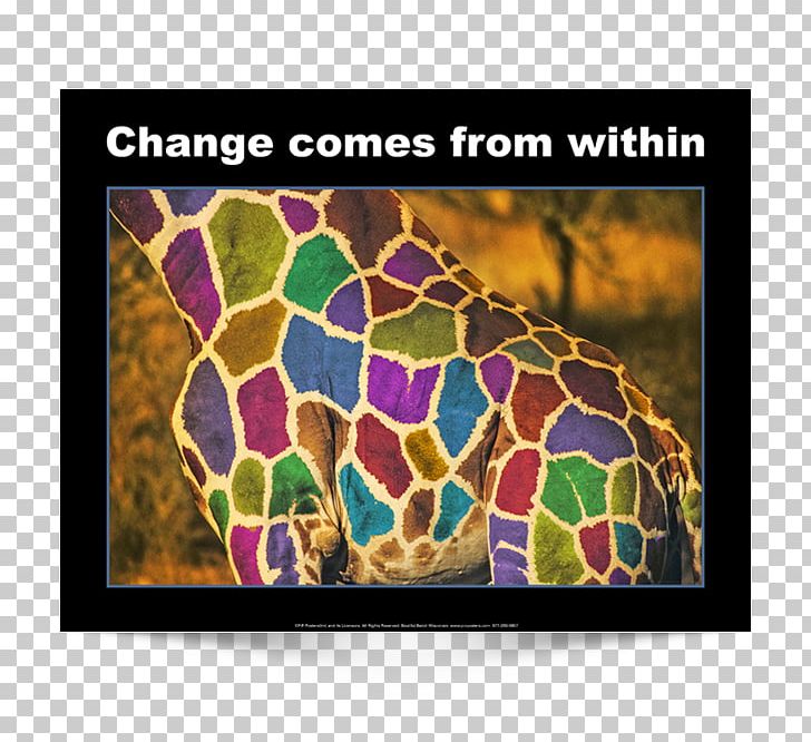 Motivational Poster Photography PNG, Clipart, Art, Classroom, Discount Poster, English, Giraffe Free PNG Download