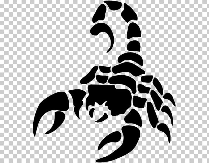 Scorpion PNG, Clipart, Astrological Sign, Black, Carnivoran, City Silhouette, Computer Icons Free PNG Download