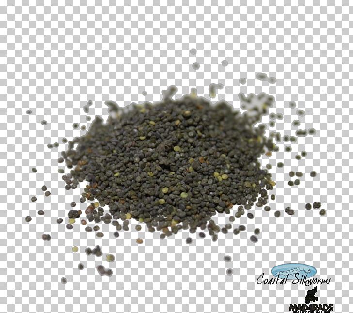 Silkworm Insect Sericulture Food Egg PNG, Clipart, Amazoncom, Animals, Assam Tea, Earl Grey Tea, Eating Free PNG Download