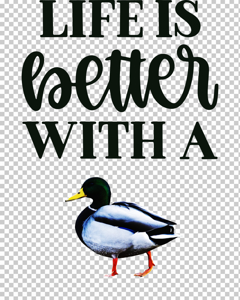 Life Better PNG, Clipart, Beak, Better, Birds, Charriol, Duck Free PNG Download