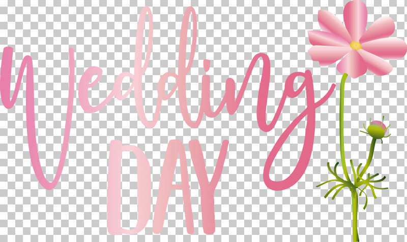 Floral Design PNG, Clipart, Biology, Floral Design, Flower, Greeting, Greeting Card Free PNG Download