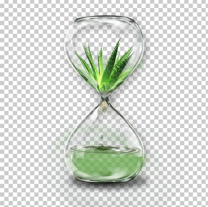 Aloe Vera PNG, Clipart, Alo, Download, Drinkware, Education Science, Encapsulated Postscript Free PNG Download