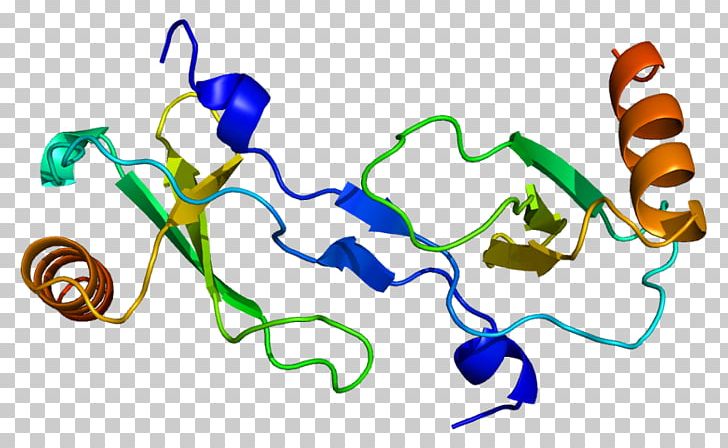 CCL2 Chemokine Monocyte Protein Cytokine PNG, Clipart, Area, Artwork, Cc Chemokine Receptors, Ccl2, Ccr2 Free PNG Download