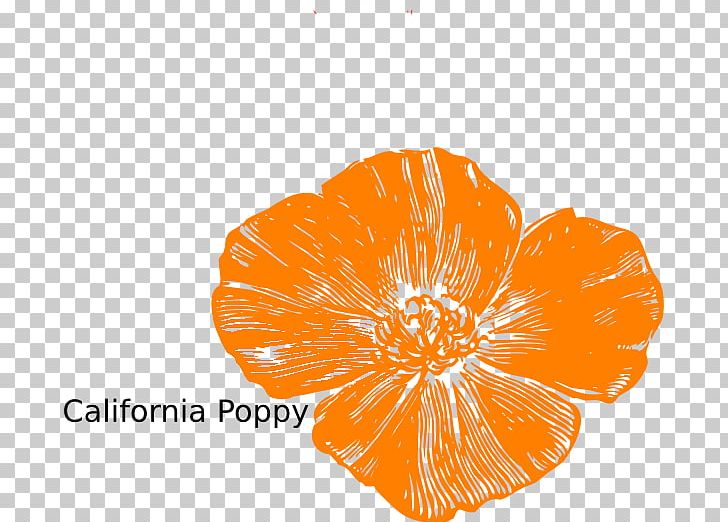 Remembrance Poppy California Poppy PNG, Clipart, Armistice Day, California Poppy, Color, Common Poppy, Flower Free PNG Download