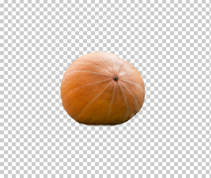 Squash Winter Squash Gourd PNG, Clipart, Gourd, Squash, Winter Squash Free PNG Download