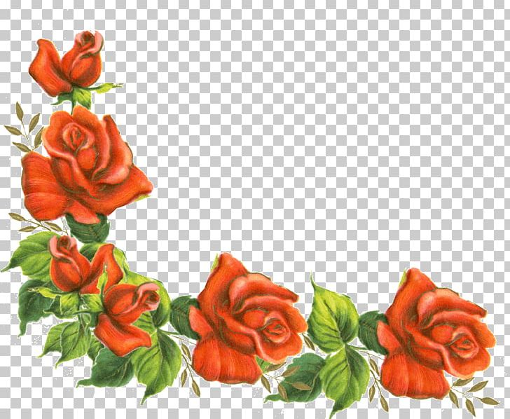 Borders And Frames Rose Flower PNG, Clipart, Art, Black Rose, Bord, Borders And Frames, Cut Flowers Free PNG Download