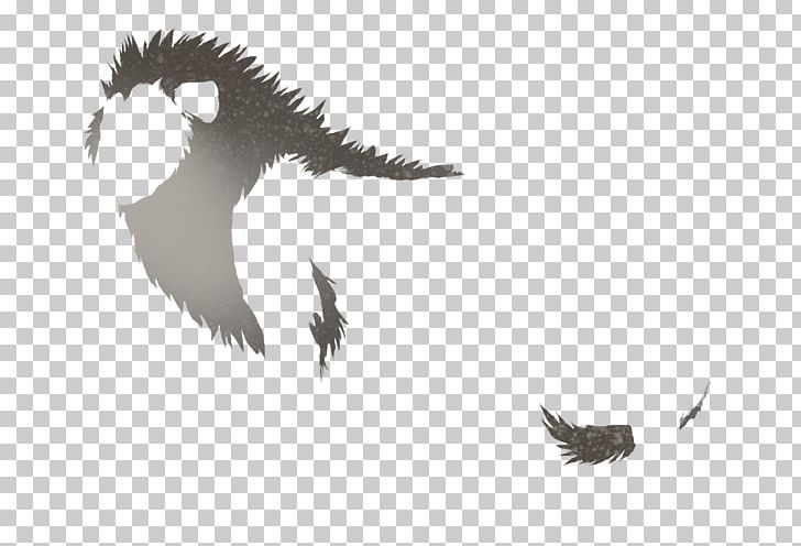 Eagle Beak Feather Sky Plc PNG, Clipart, Animals, Beak, Bird, Bird Of Prey, Black And White Free PNG Download