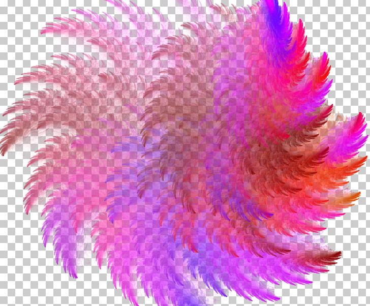Feather Close-up Pink M PNG, Clipart, Animals, Closeup, Dances, Feather, Feather Boa Free PNG Download