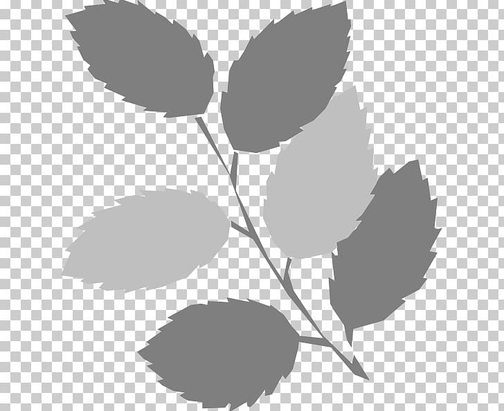 Leaf Green PNG, Clipart, Autumn Leaf Color, Black And White, Blog, Branch, Computer Icons Free PNG Download