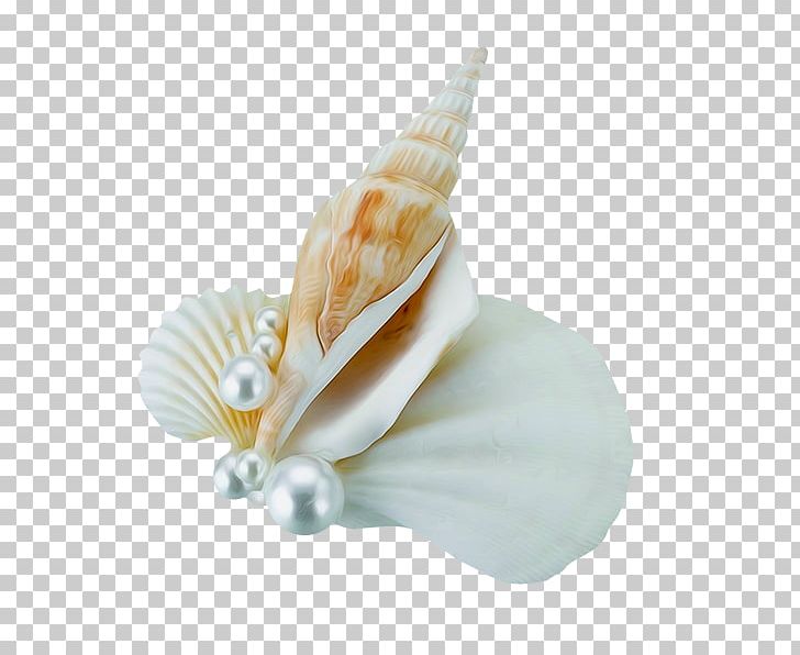 Wedding Cake Seashell Boutonnixe8re Flower Bouquet PNG, Clipart, Beach, Black Pearl, Bride, Bridegroom, Bridesmaid Free PNG Download