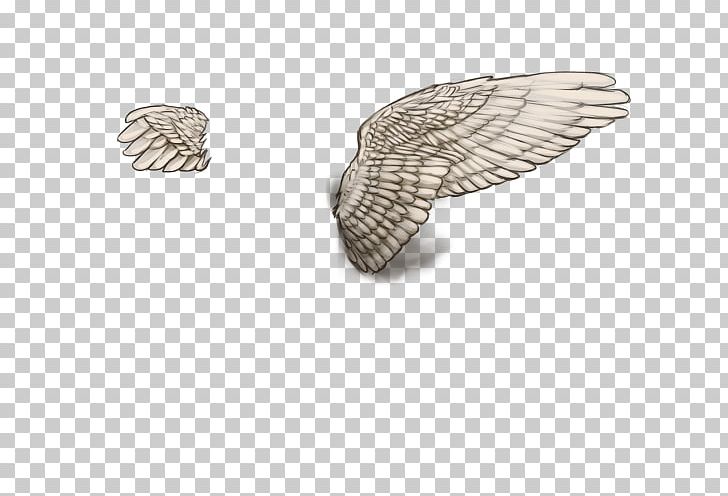Silver PNG, Clipart, Jewelry, Silver, Wing Free PNG Download