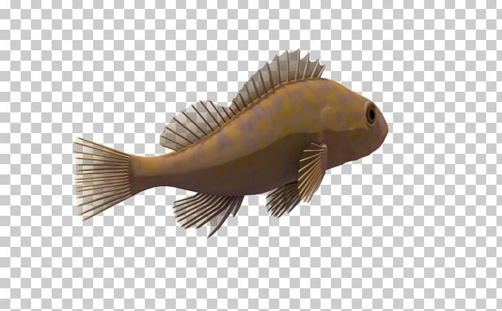 Fish Animal Drawing PNG, Clipart, Animaatio, Animal, Aquatic Animal, Big Night Fishing 3d Lite, Cartoon Free PNG Download
