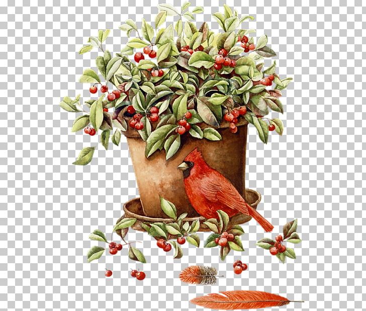 Flowerpot PNG, Clipart, Art, Beak, Berry, Bird, Blog Free PNG Download