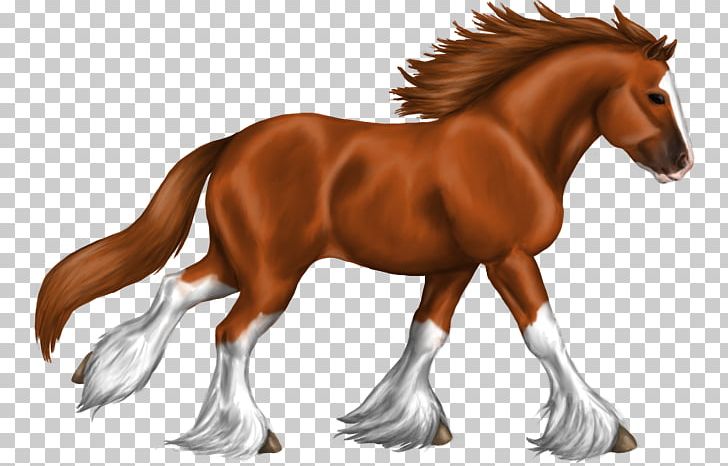 Mustang Stallion Clydesdale Horse Foal Friesian Horse PNG, Clipart, Animal, Animal Figure, Breed, Bridle, Colt Free PNG Download