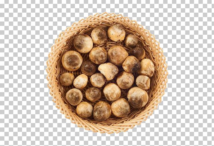 Shiitake Edible Mushroom PNG, Clipart, Button, Buttons, Clothing, Comm, Encapsulated Postscript Free PNG Download