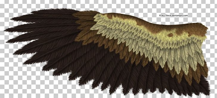 Bald Eagle Drawing Bird Golden Eagle PNG, Clipart, Art, Bald Eagle, Beak, Bird, Bird Of Prey Free PNG Download