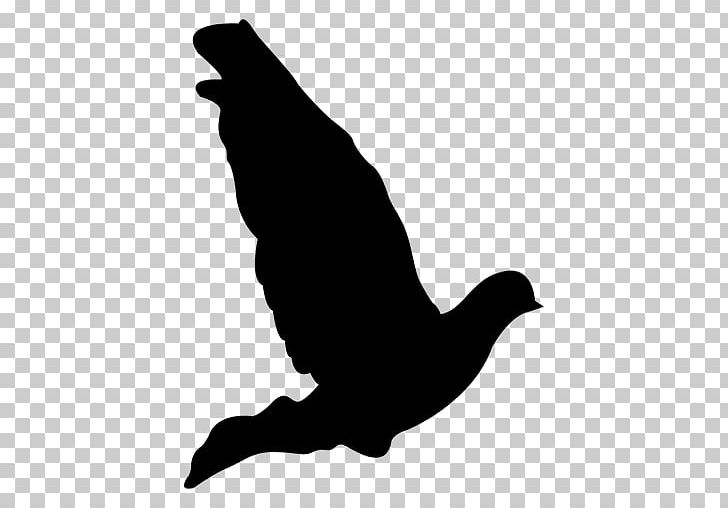 Labrador Retriever Silhouette Chihuahua PNG, Clipart, Animals, Beak, Bird, Black And White, Chihuahua Free PNG Download