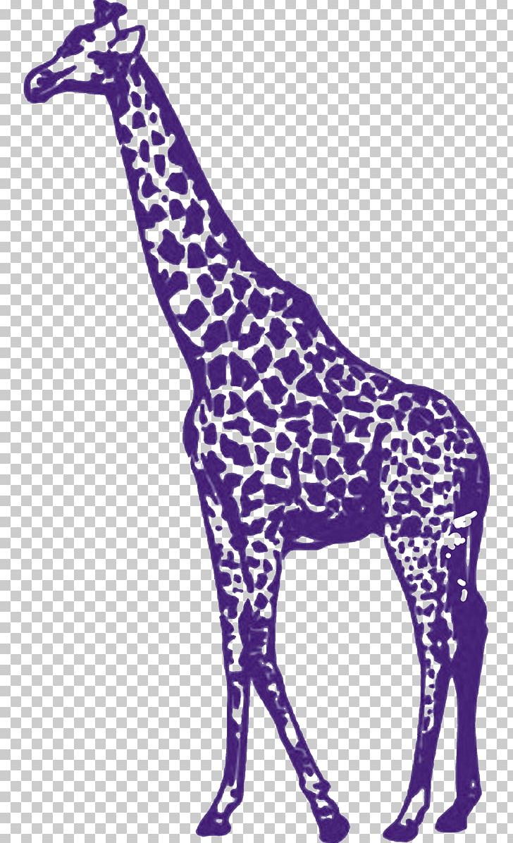 Purple Giraffe Stencil YouTube PNG, Clipart, Animal Figure, Giraffe, Giraffidae, In The Wild, Line Free PNG Download