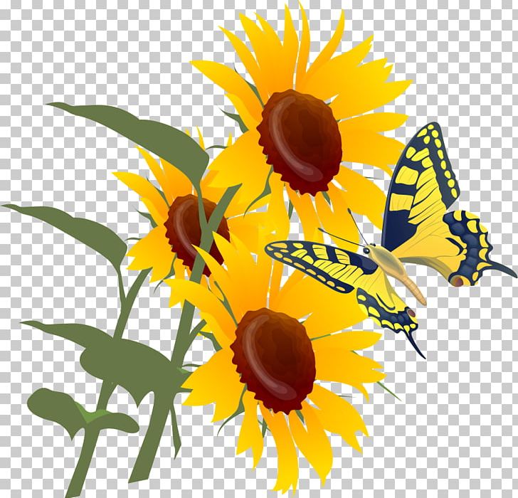 Sunflower Leaf PNG, Clipart, Animation, Comics, Cut Flowers, Daisy Family, Download Free PNG Download