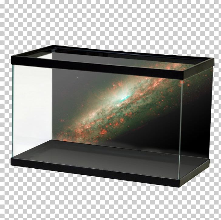 Aquarium Goldfish Aquascaping Paludarium Akwarium Holenderskie PNG, Clipart, Akwarium Holenderskie, Akwaterrarium, Aquarium, Aquascaping, Cabomba Free PNG Download