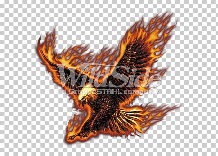 Bald Eagle T-shirt Bird PNG, Clipart, American Eagle Outfitters, Animals, Bald Eagle, Beak, Bird Free PNG Download