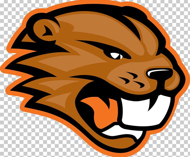 Beaverton High School Portland State University PNG, Clipart, Animals, Artwork, Big Cats, Carnivoran, Cat Like Mammal Free PNG Download