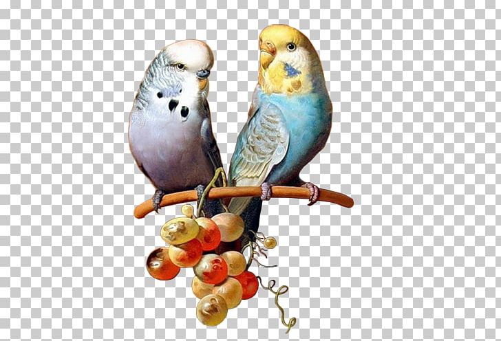Bird Budgerigar Parakeet Basset Hound Painting PNG, Clipart, Animal, Animals, Art, Artist, Basset Hound Free PNG Download