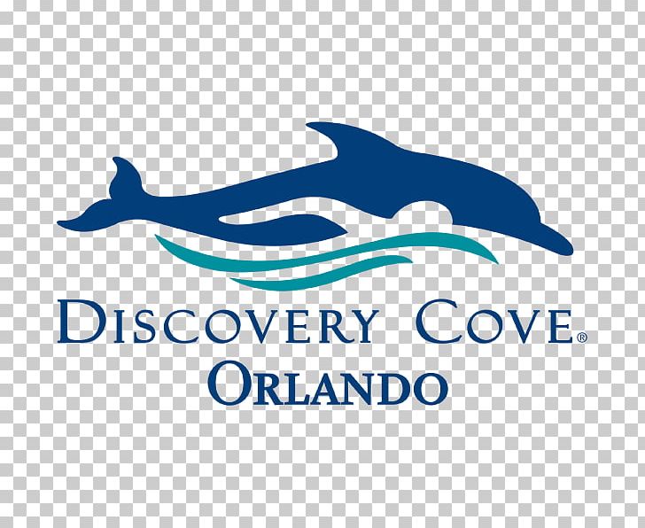 Discovery Cove SeaWorld Orlando Universal Studios Florida Busch Gardens Tampa Aquatica PNG, Clipart, Amusement Park, Aquatica, Artwork, Brand, Bus Free PNG Download