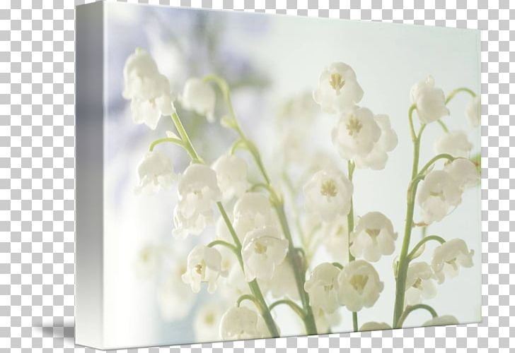Flower Floral Design Photography Wedding Lilium PNG, Clipart, Art, Blossom, Bruidsboeket, Cut Flowers, Fine Art Free PNG Download