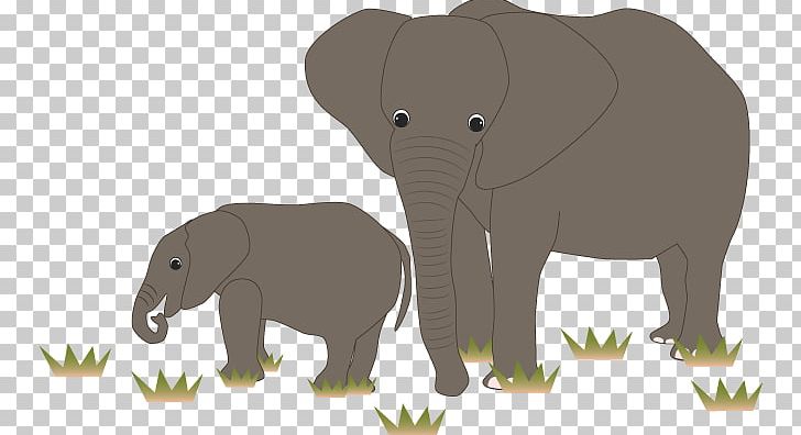 Indian Elephant African Elephant Wildlife Curtiss C-46 Commando PNG, Clipart, African Elephant, Animal, Bear, Carnivora, Carnivoran Free PNG Download