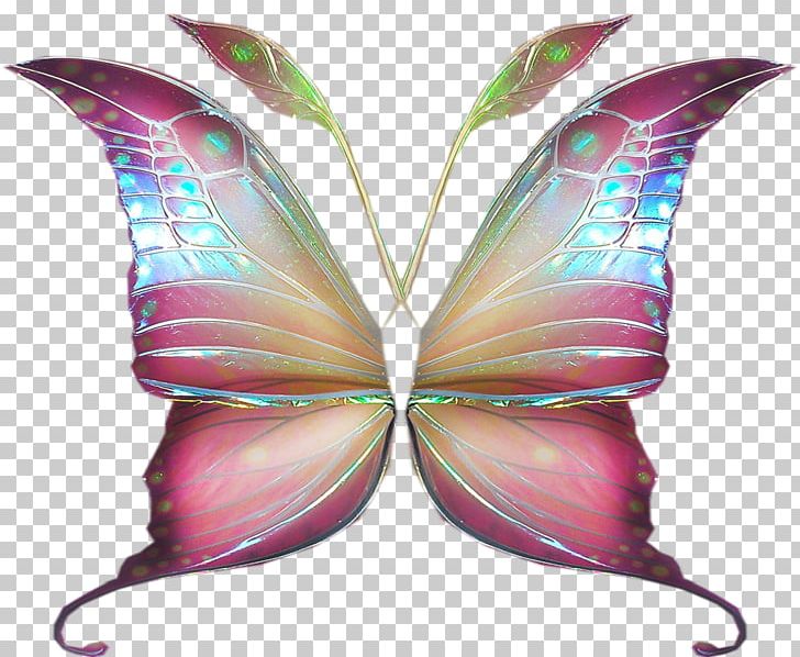 Symmetry Purple Fairy PNG, Clipart, Art, Butterfly, Fairy, Insect, Invertebrate Free PNG Download