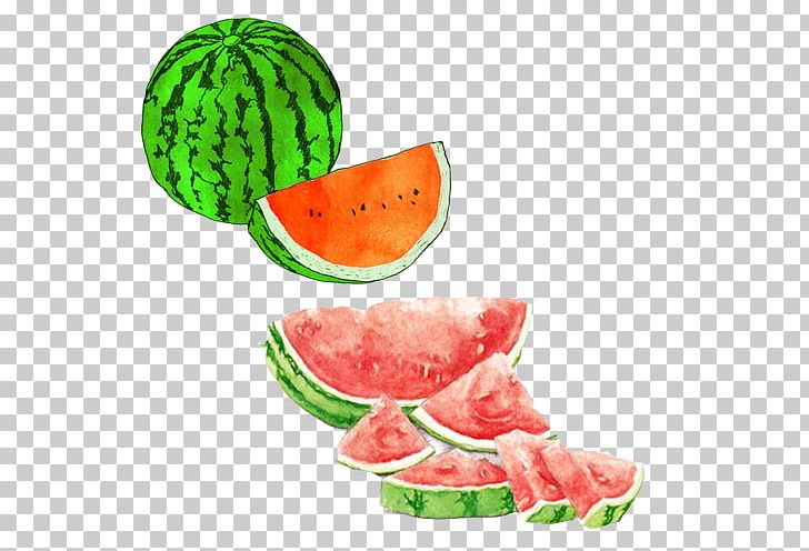 Watermelon Watercolor Painting Drawing Seedless Fruit Illustration PNG, Clipart, Art, Art Museum, Citrullus, Colored Pencil, Cucumber Gourd And Melon Family Free PNG Download