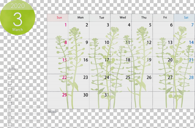 Text Plant Font Wildflower Flower PNG, Clipart, 2020 Calendar, Flower, March 2020 Calendar, March 2020 Printable Calendar, Paint Free PNG Download