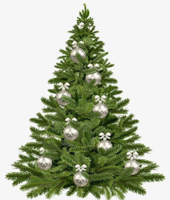 Christmas Trees Element PNG, Clipart, Christmas, Christmas Clipart, Christmas Clipart, Christmas Decoration, Christmas Elements Free PNG Download