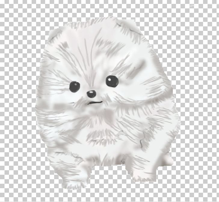 Whiskers Pomeranian Puppy Dog Breed Drawing PNG, Clipart, Animals, Black And White, Breed, Carnivoran, Cat Free PNG Download