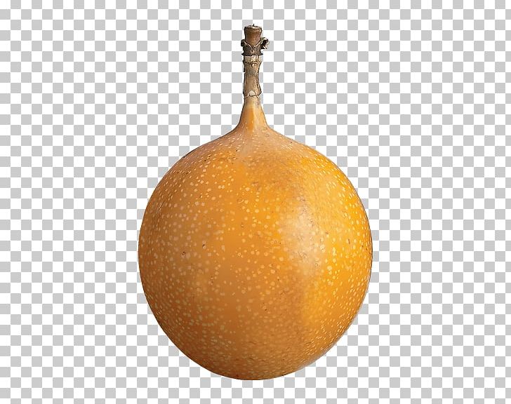 Winter Squash Cucurbita Fruit PNG, Clipart, Cucurbita, Food, Fruit, Others, Winter Squash Free PNG Download