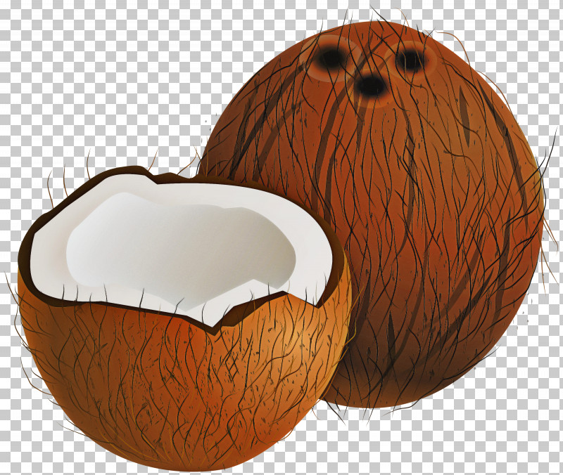 Pumpkin PNG, Clipart, Coconut, Plant, Pumpkin Free PNG Download