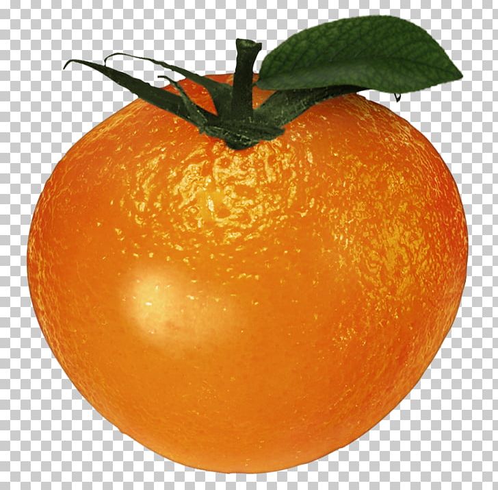 Clementine Tangerine Mandarin Orange Blood Orange Tangelo PNG, Clipart, Bitter Orange, Blood, Blood Orange, Citrus, Clementine Free PNG Download