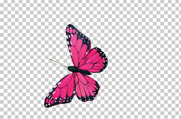 Butterfly Watercolor Painting PNG, Clipart, Art, Arthropod, Brush Footed Butterfly, Butterfly, Color Free PNG Download