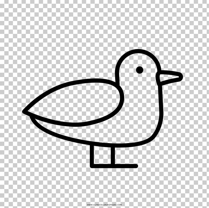 Drawing Gulls Coloring Book PNG, Clipart, Area, Artwork, Beak, Bird, Black And White Free PNG Download