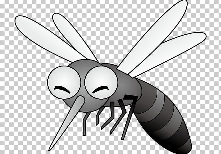 Mosquito Insect Black And White Fly PNG, Clipart, Arthropod, Artwork, Black And White, Drawing, Fly Free PNG Download