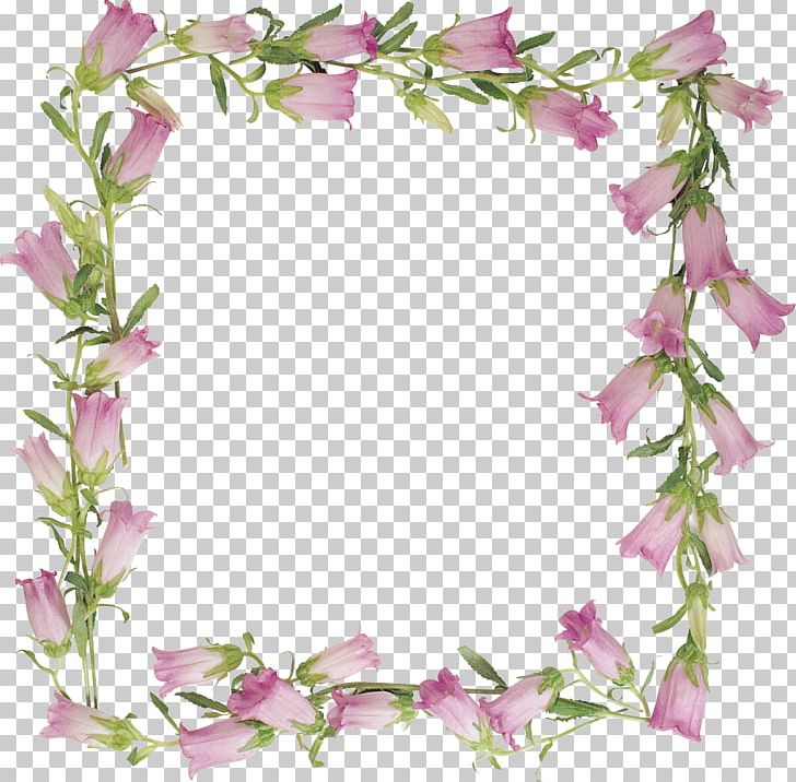 Frames PNG, Clipart, Branch, Decor, Document File Format, Drawin, Encapsulated Postscript Free PNG Download