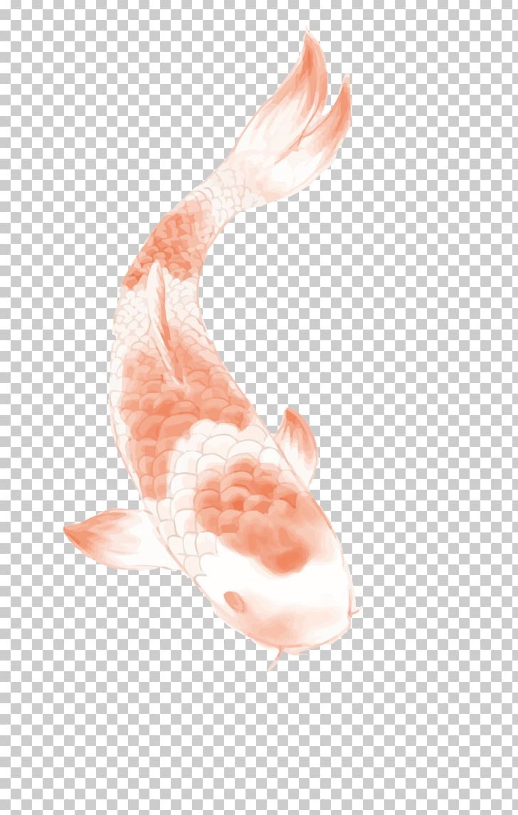 Butterfly Koi Tattoo PNG, Clipart, Art, Carp, Carp Vector, Chinese Border, Chinese Lantern Free PNG Download