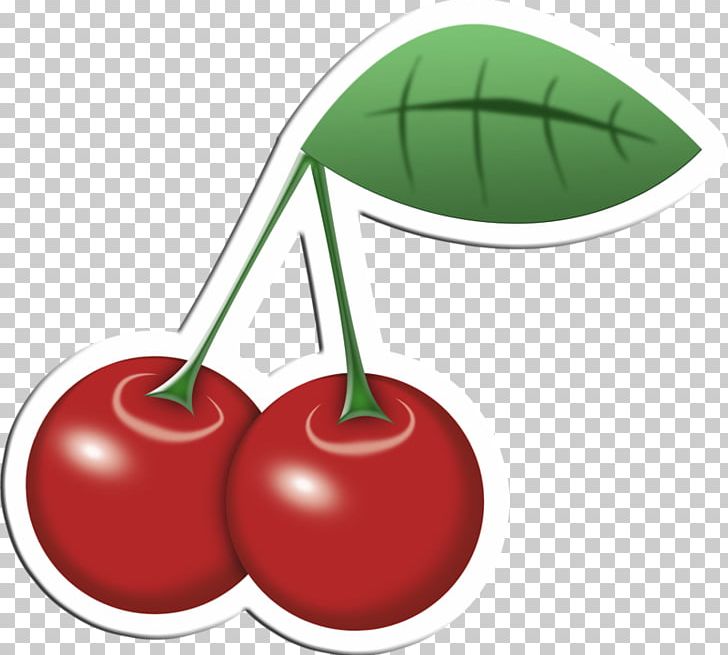 Cherry Drawing Cartoon PNG, Clipart, Animaatio, Apple, Cartoon, Cherry, Dimension Free PNG Download