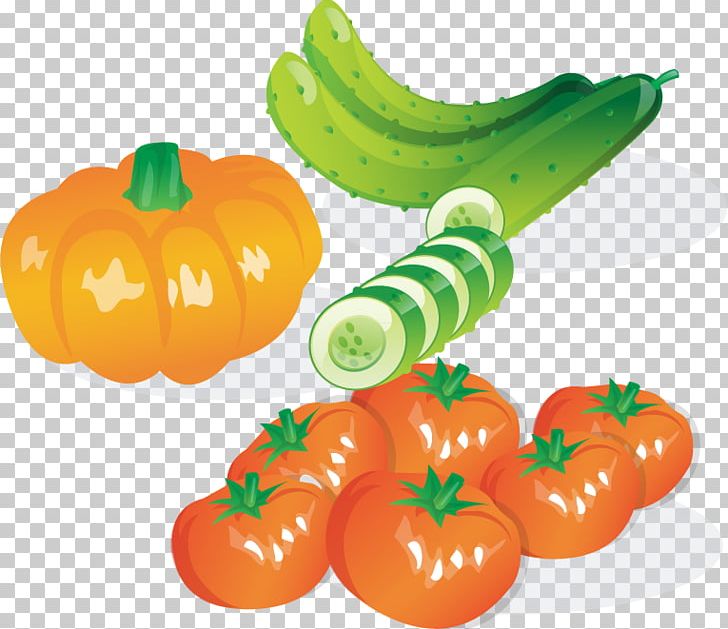 Leaf Vegetable Cucumber Salad PNG, Clipart, Cucumber, Cucumber Vector, Food, Fruit, Gourd Free PNG Download