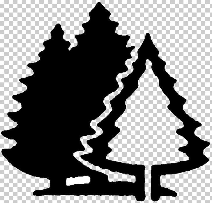 Lesser Slave Lake Camping Campsite Carl Neutzel Services Black Brook Cove Campground PNG, Clipart, Accommodation, Black And White, Campervans, Camping, Campsite Free PNG Download