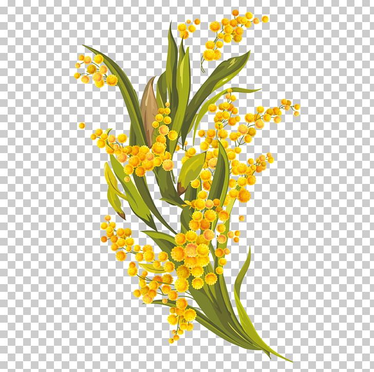 Floral Design Common Daisy Euclidean PNG, Clipart, Chrysanthemum, Cut Flowers, Decor, Design Element, Designer Free PNG Download