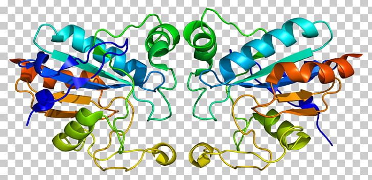 Glutathione Peroxidase GPX1 Selenoprotein PNG, Clipart, Area, Artwork, Catalase, Enzyme, Gene Free PNG Download