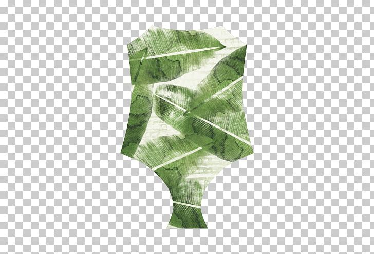 Green Leaf PNG, Clipart, Banana Leave, Grass, Green, Leaf, Plant Free PNG Download